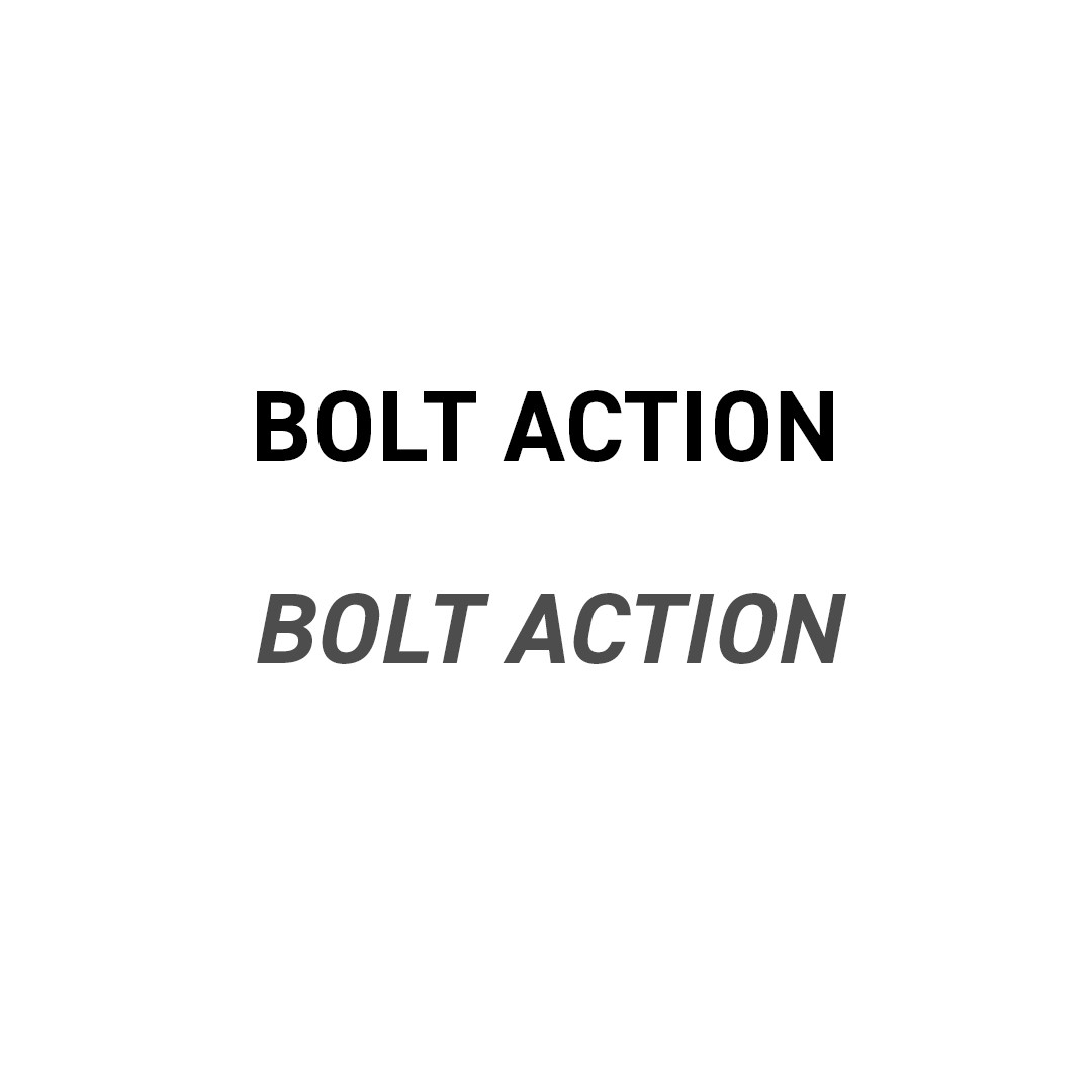 Bolt Action
