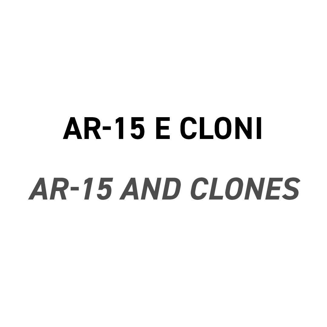 AR-15 e cloni