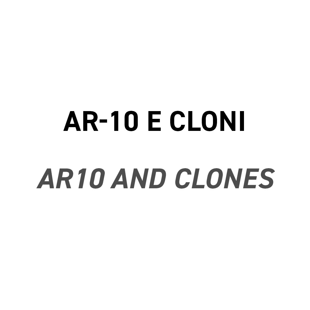 AR-10 e cloni